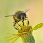 揭秘CGG吃瓜黑料背后的真相与内幕 6o5opng72