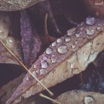 星空传媒 黄雪纯:探索新媒体时代的创新与挑战 n9utm03sq