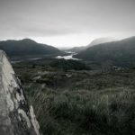 探索黄色小说的魅力与文化影响 w42jqxaa