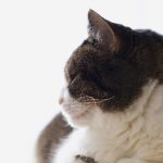 新闻头条 今天:最新时事动态与热点事件全解析 yw9p9